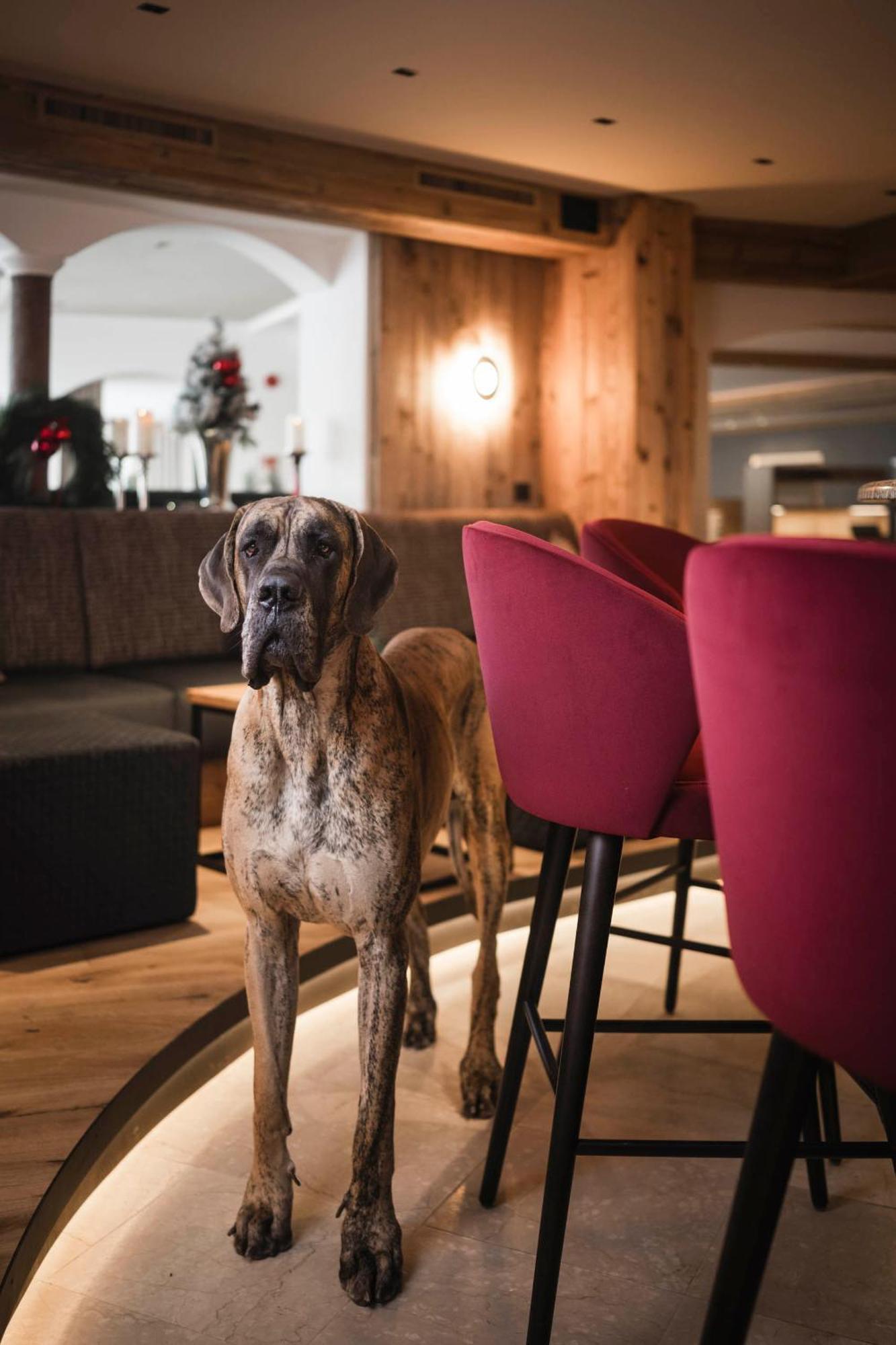 Alpenheim Charming & Spa Hotel Ortisei Eksteriør bilde
